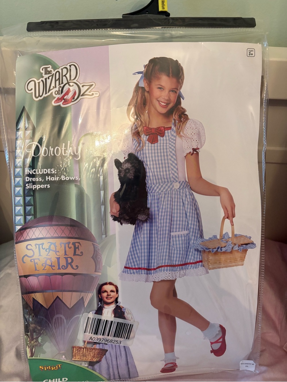 Wizard of Oz Dorothy Girls Blue Check Dress Costume with Red Trim
